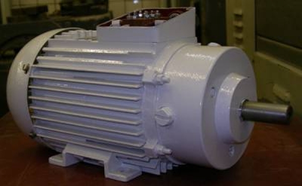 Электродвигатель асинхронный с короткозамкнутым ротором
